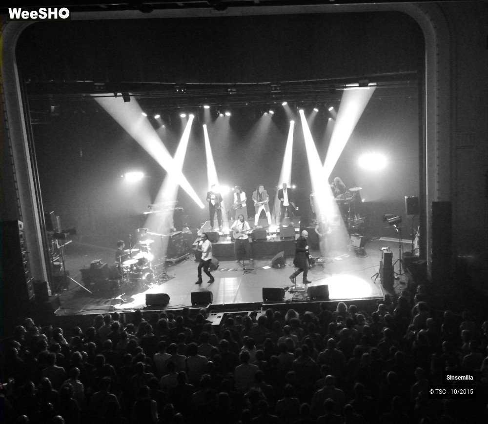 37/45 photos du spectacle Sinsemilia