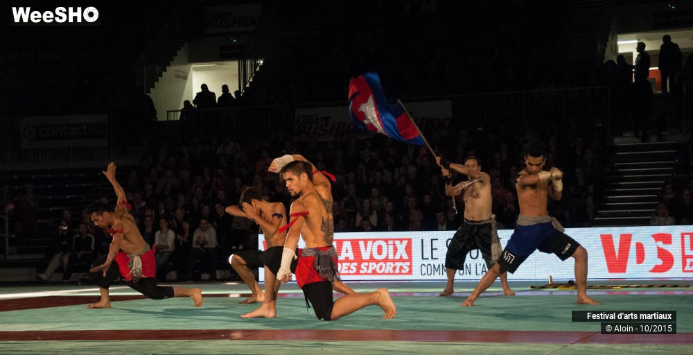 1/36 photos du spectacle Festival d'arts martiaux Nord - Europe 2015