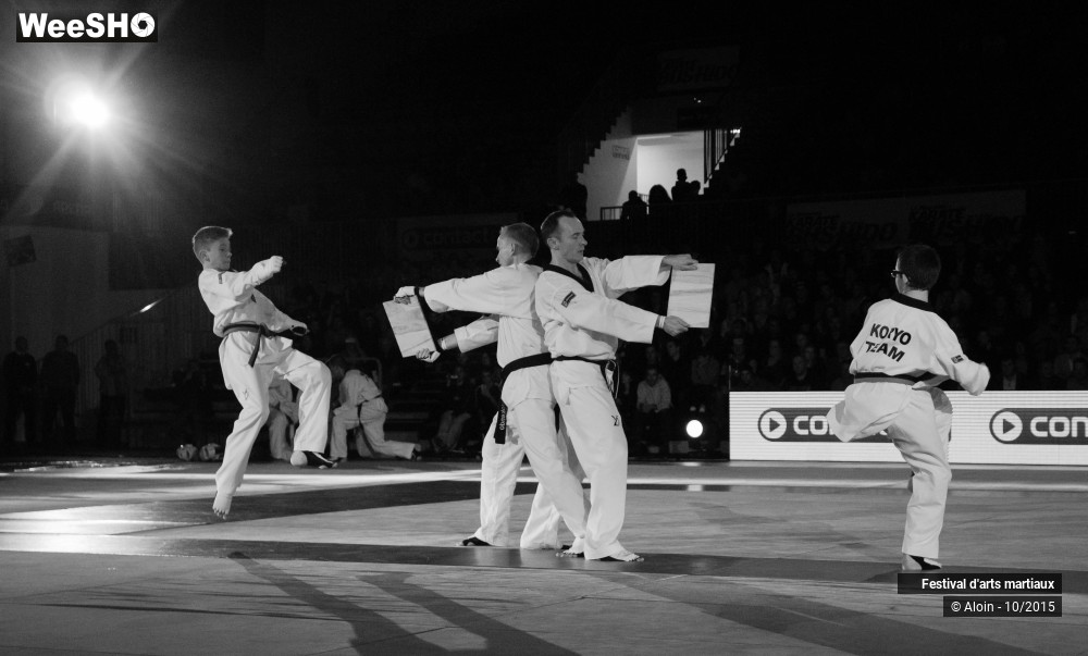 11/36 photos du spectacle Festival d'arts martiaux Nord - Europe 2015