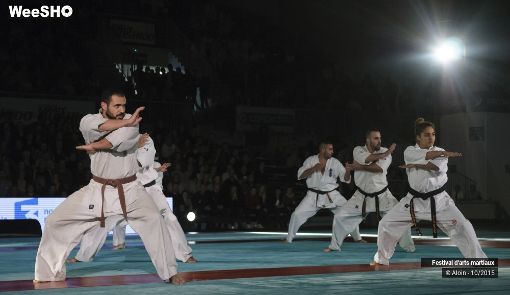 15/36 photos du spectacle Festival d'arts martiaux Nord - Europe 2015