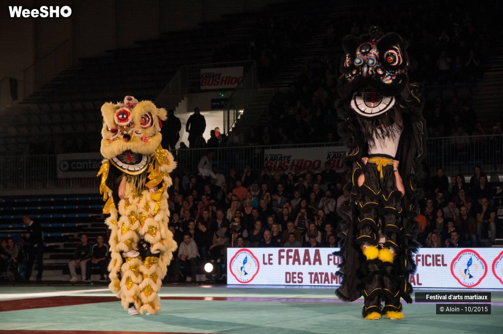 18/36 photos du spectacle Festival d'arts martiaux Nord - Europe 2015