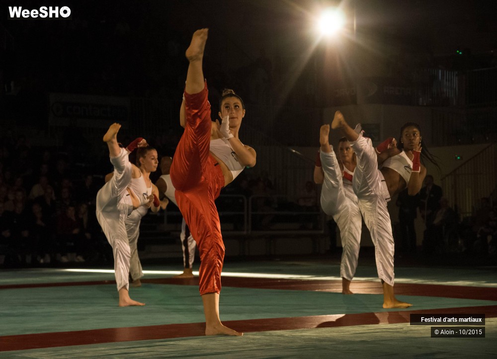 20/36 photos du spectacle Festival d'arts martiaux Nord - Europe 2015