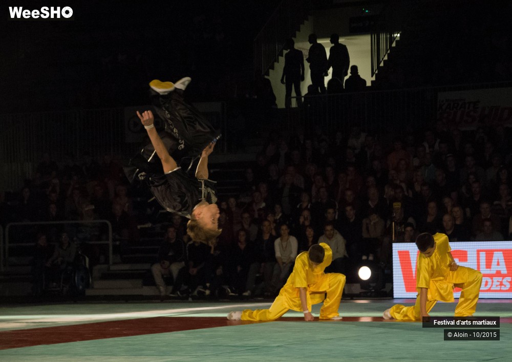 24/36 photos du spectacle Festival d'arts martiaux Nord - Europe 2015