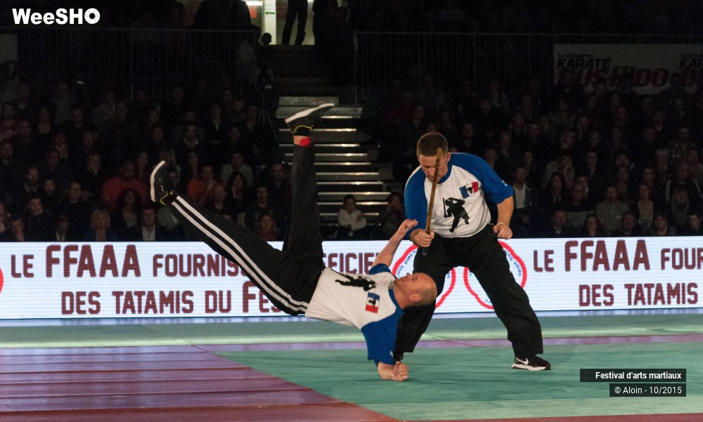 34/36 photos du spectacle Festival d'arts martiaux Nord - Europe 2015