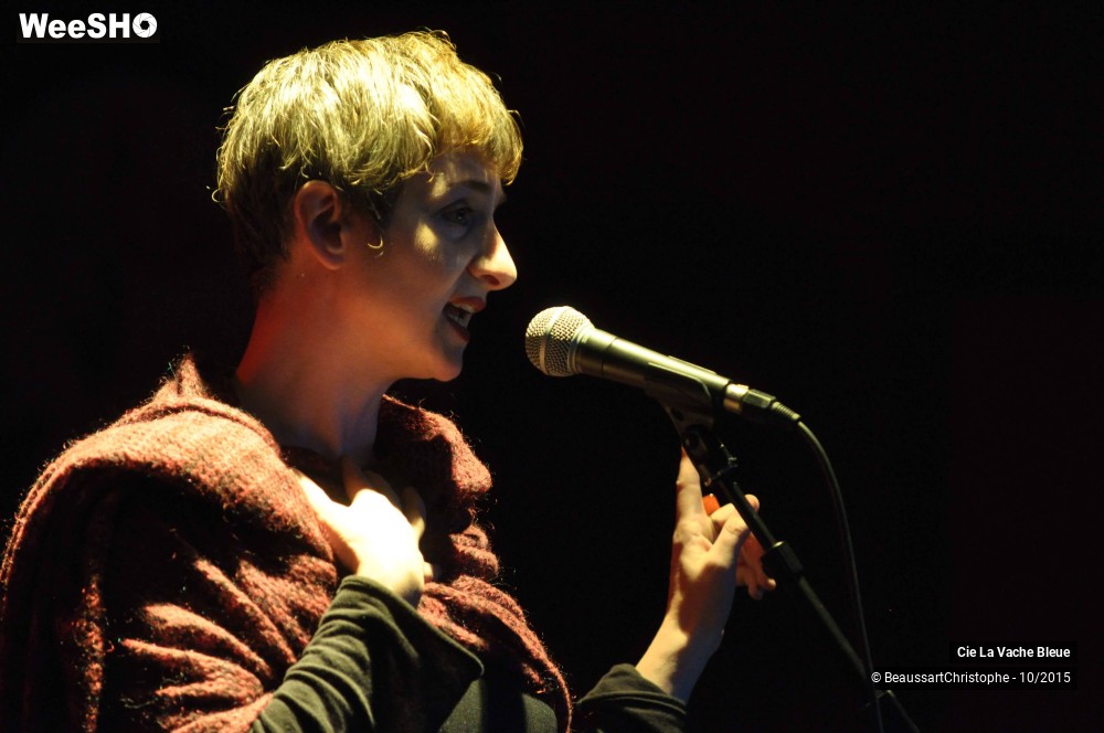 15/43 photos du spectacle De Deux Choses Lune