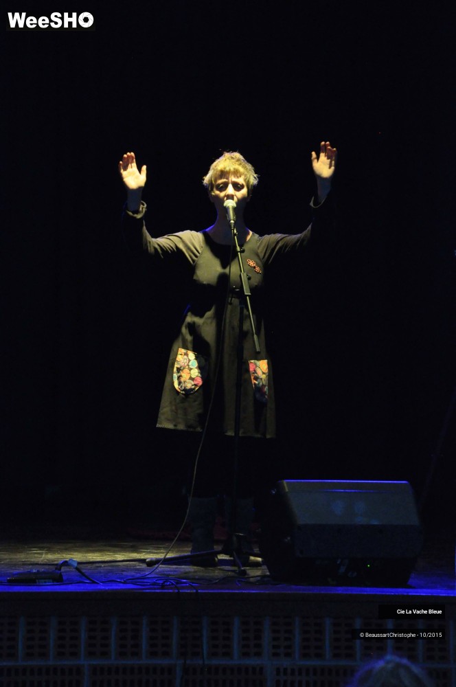 17/43 photos du spectacle De Deux Choses Lune