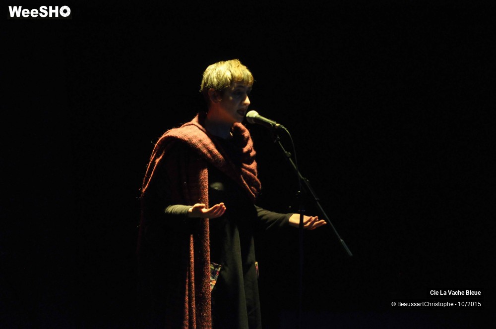 23/43 photos du spectacle De Deux Choses Lune