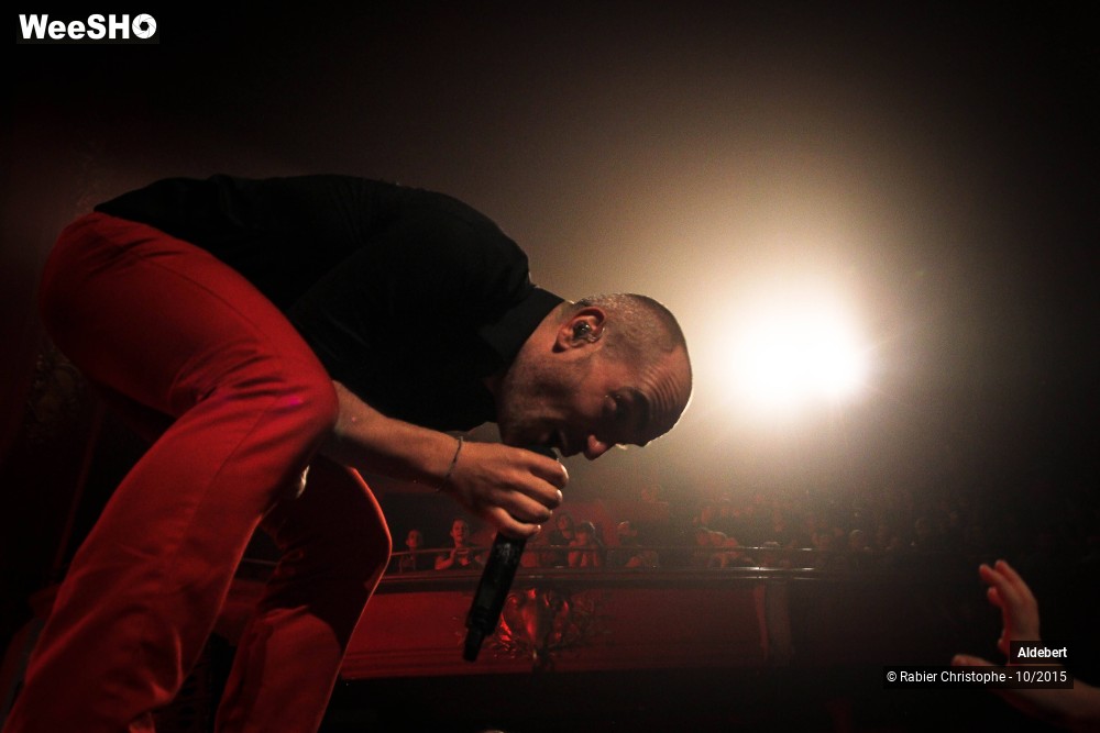 32/58 photos du spectacle Aldebert