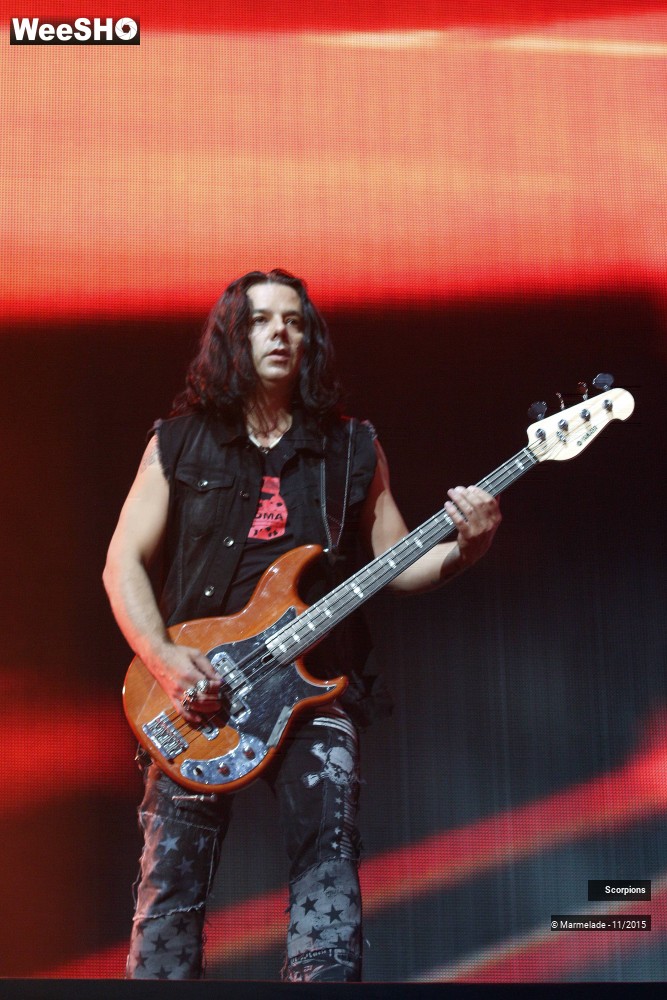 26/30 photos du spectacle Scorpions