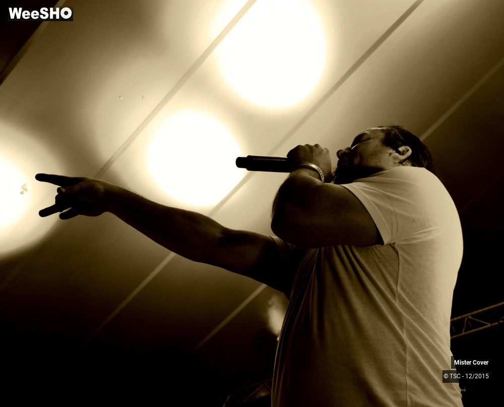 8/23 photos du spectacle Mister Cover