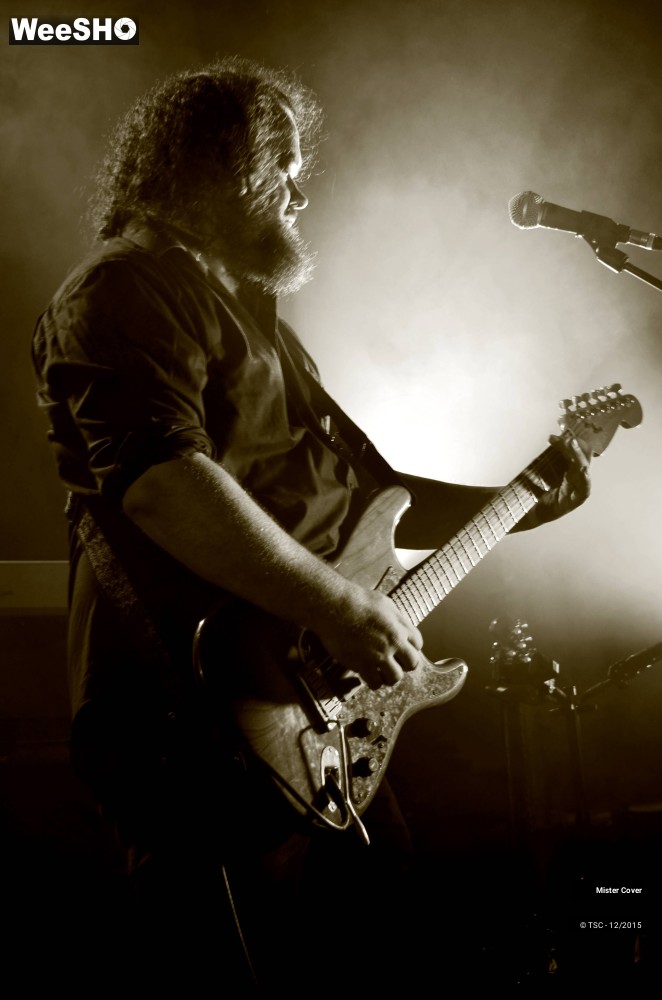 14/23 photos du spectacle Mister Cover