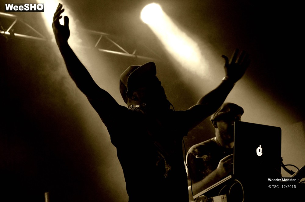 1/20 photos du spectacle Wonder Monster