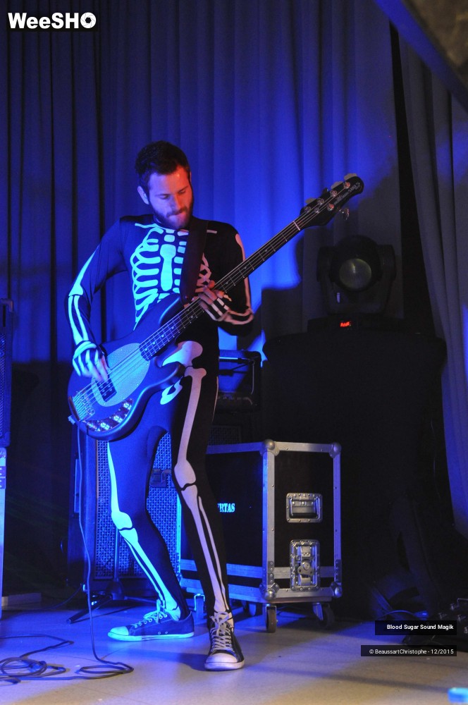 11/28 photos du spectacle Blood Sugar Sound Magik