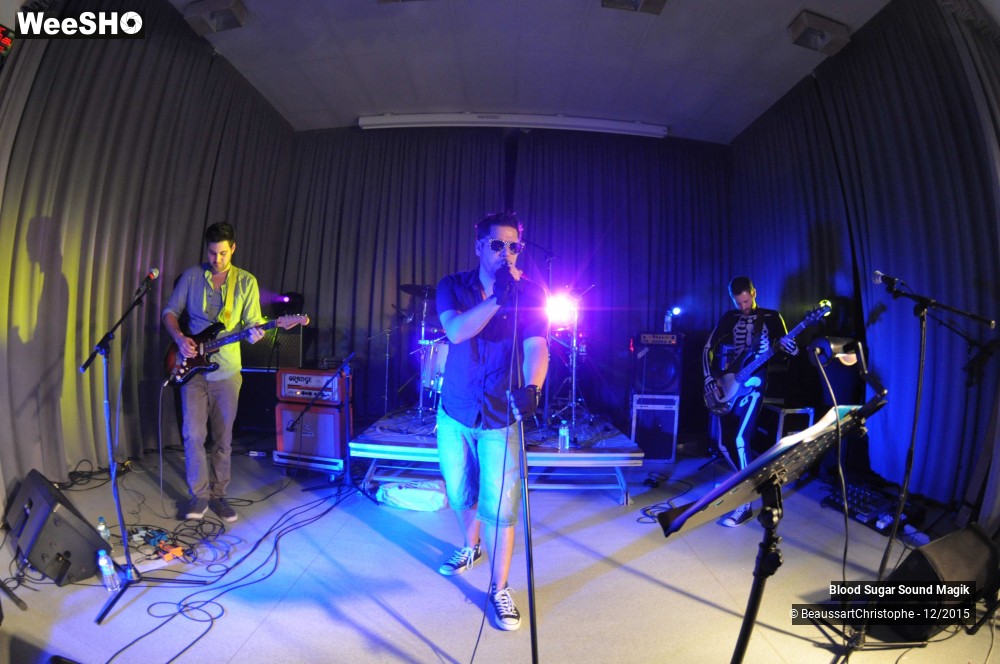13/28 photos du spectacle Blood Sugar Sound Magik