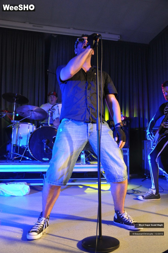 16/28 photos du spectacle Blood Sugar Sound Magik