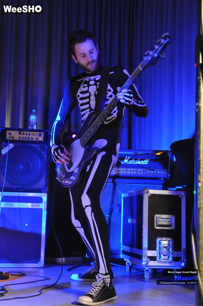 20/28 photos du spectacle Blood Sugar Sound Magik