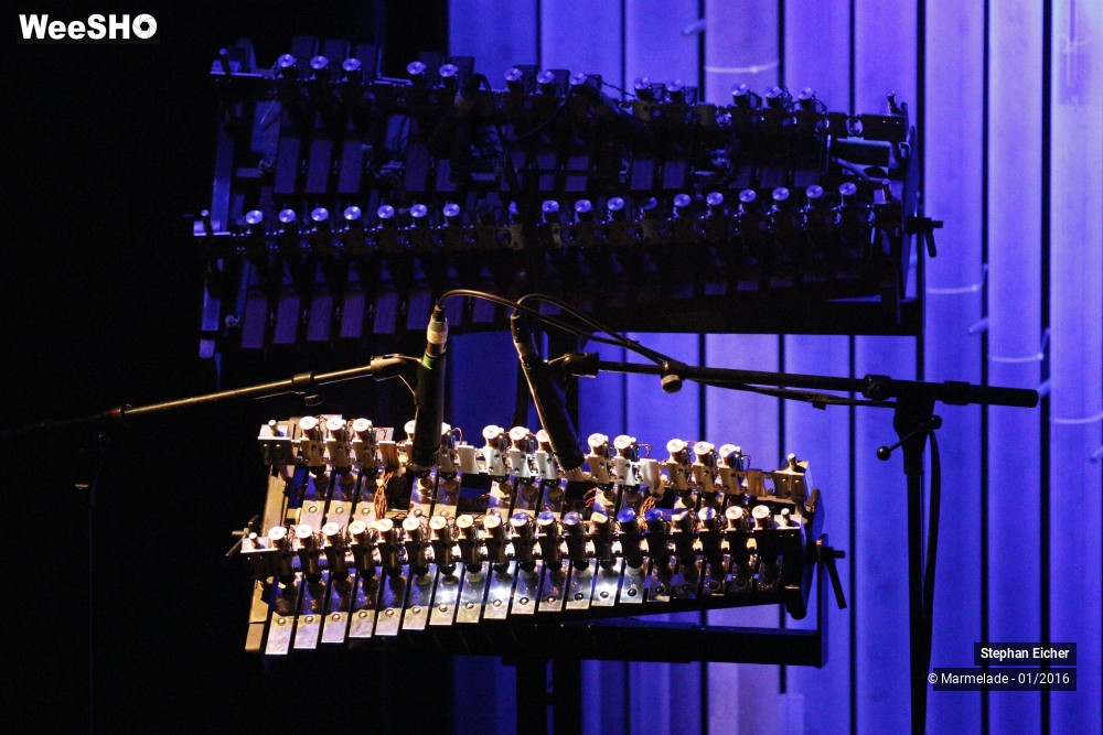 8/11 photos du spectacle Stephan Eicher