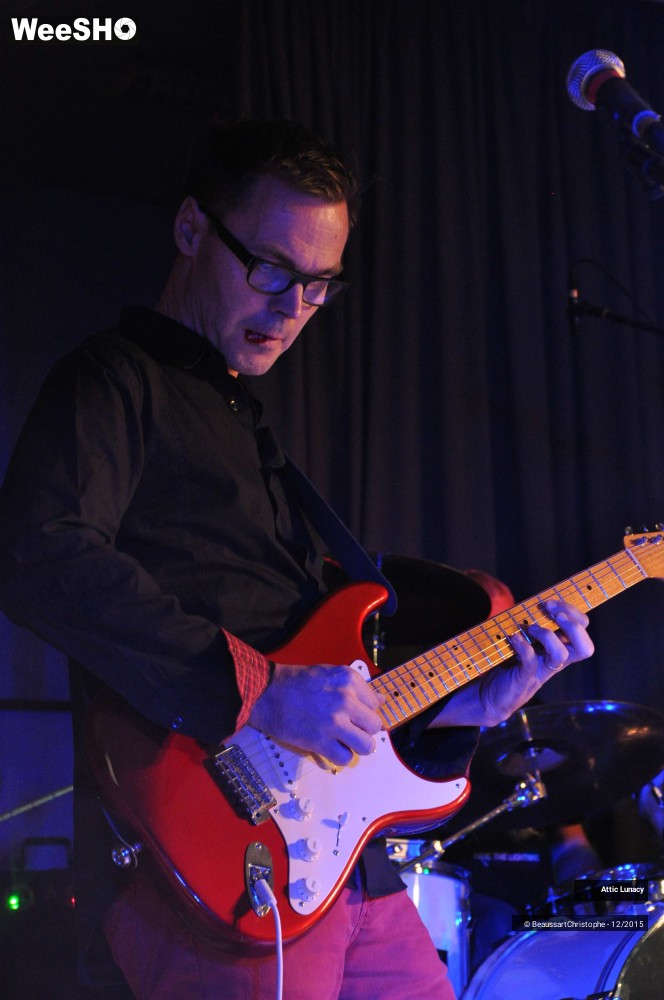 15/30 photos du spectacle Attic Lunacy