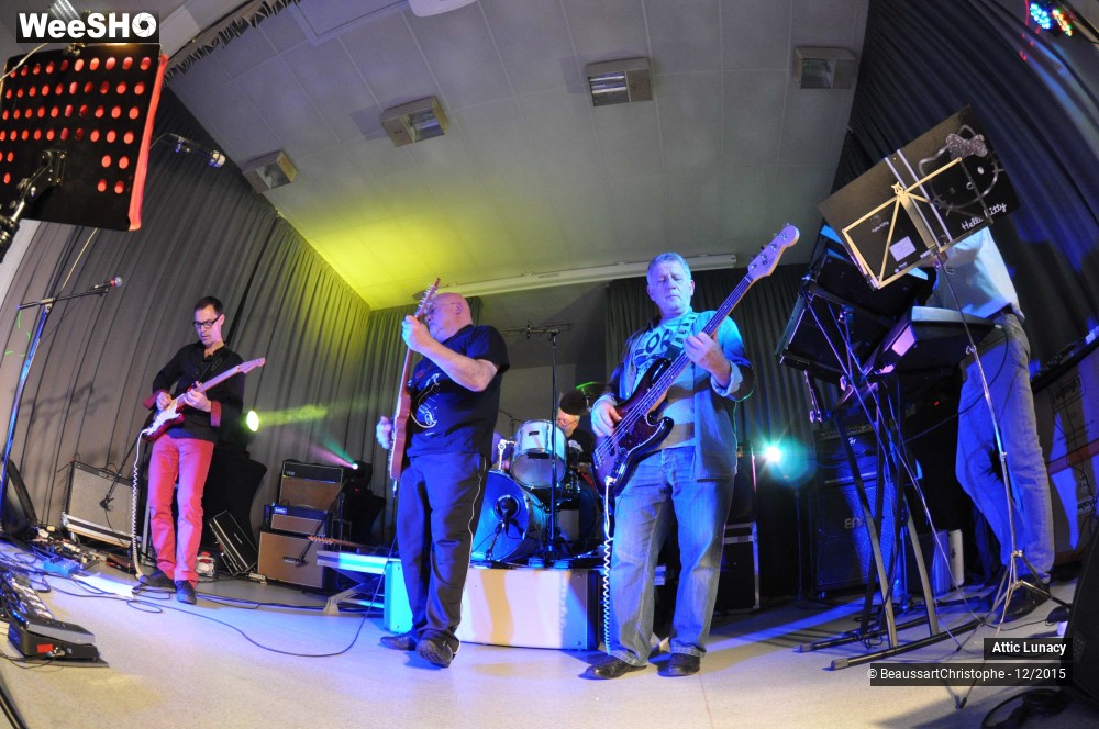 18/30 photos du spectacle Attic Lunacy