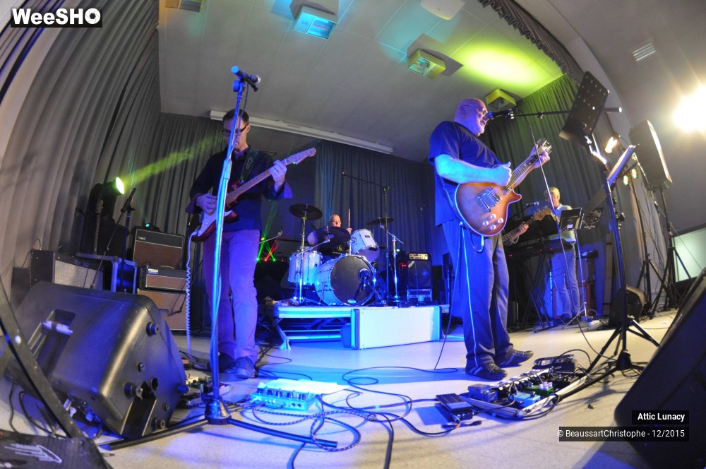 19/30 photos du spectacle Attic Lunacy