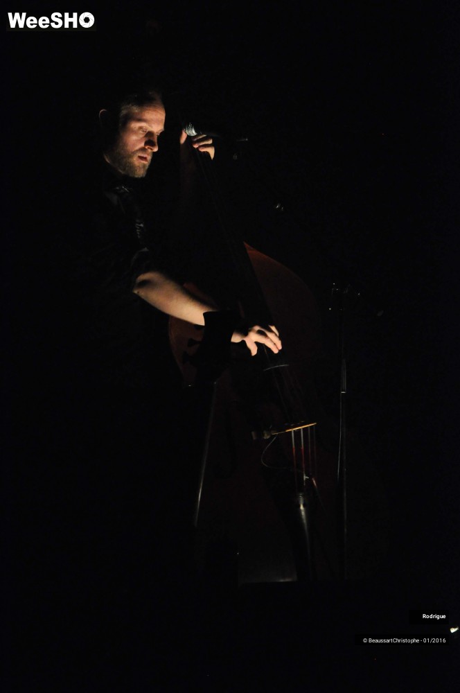 25/51 photos du spectacle Rodrigue