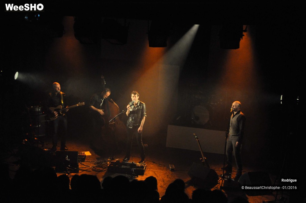 28/51 photos du spectacle Rodrigue