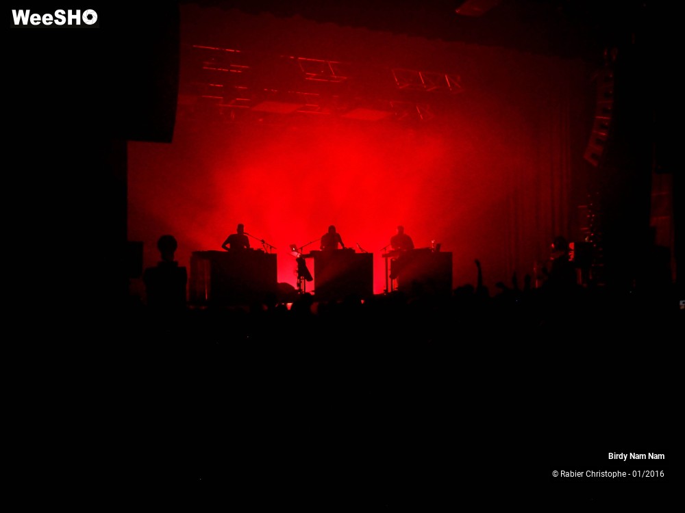1/24 photos du spectacle Birdy Nam Nam