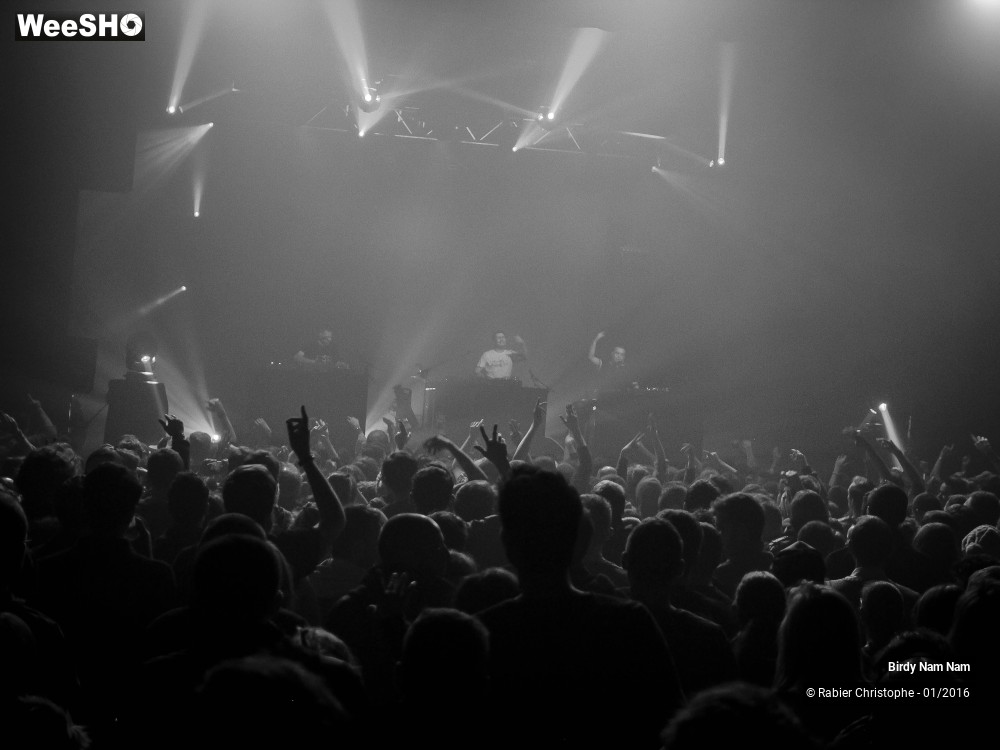 6/24 photos du spectacle Birdy Nam Nam