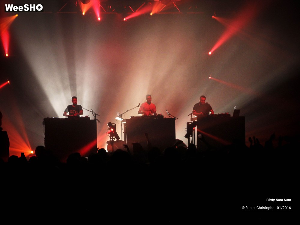 16/24 photos du spectacle Birdy Nam Nam