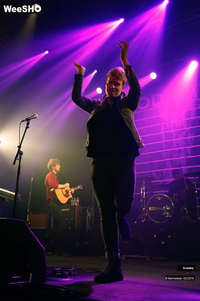 2/30 photos du spectacle Kodaline