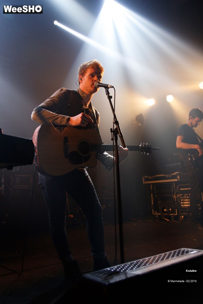 15/30 photos du spectacle Kodaline