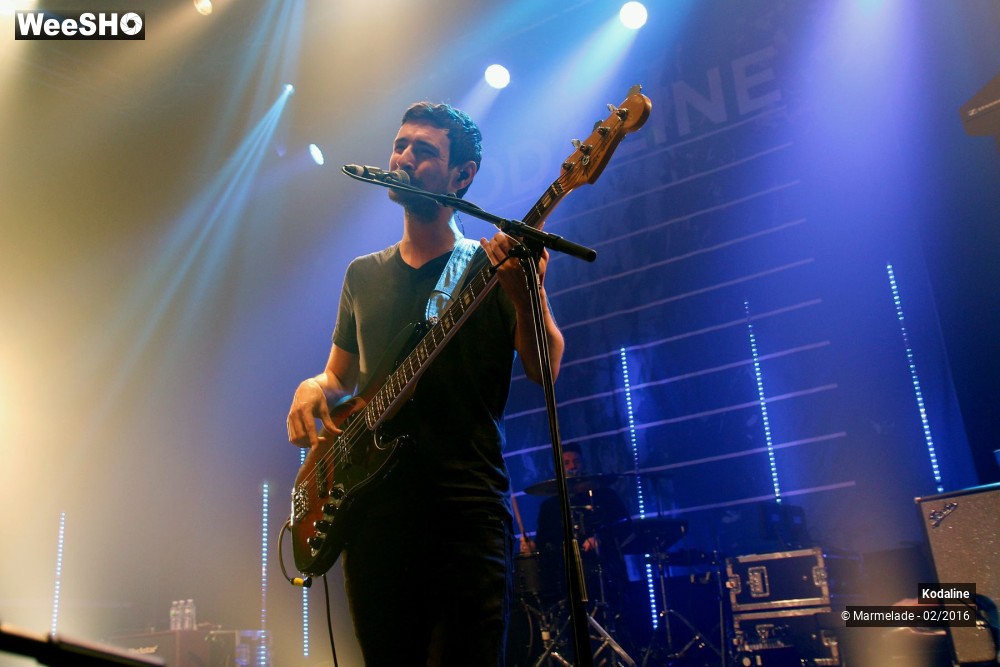 18/30 photos du spectacle Kodaline