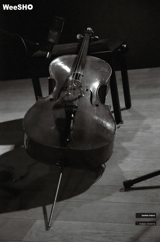 18/24 photos du spectacle Gauthier Saison