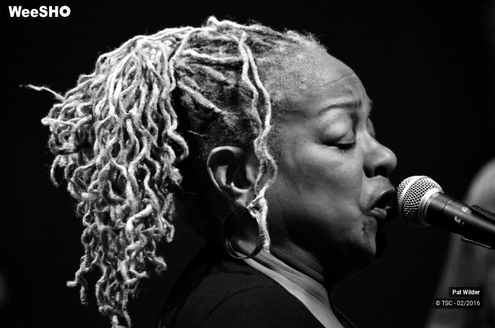 3/29 photos du spectacle Pat  Wilder Band
