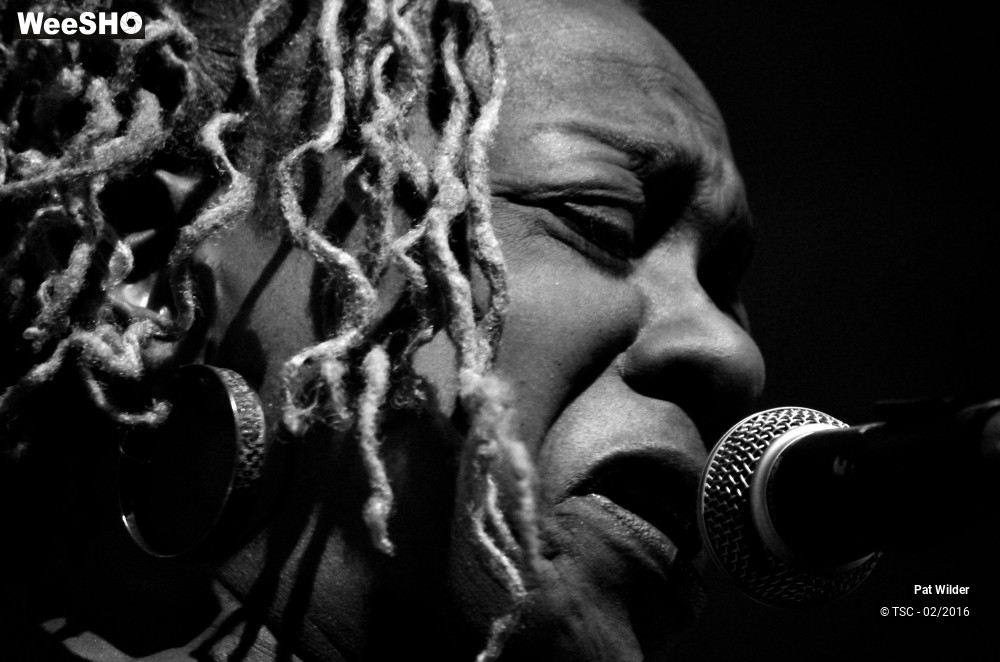 7/29 photos du spectacle Pat  Wilder Band