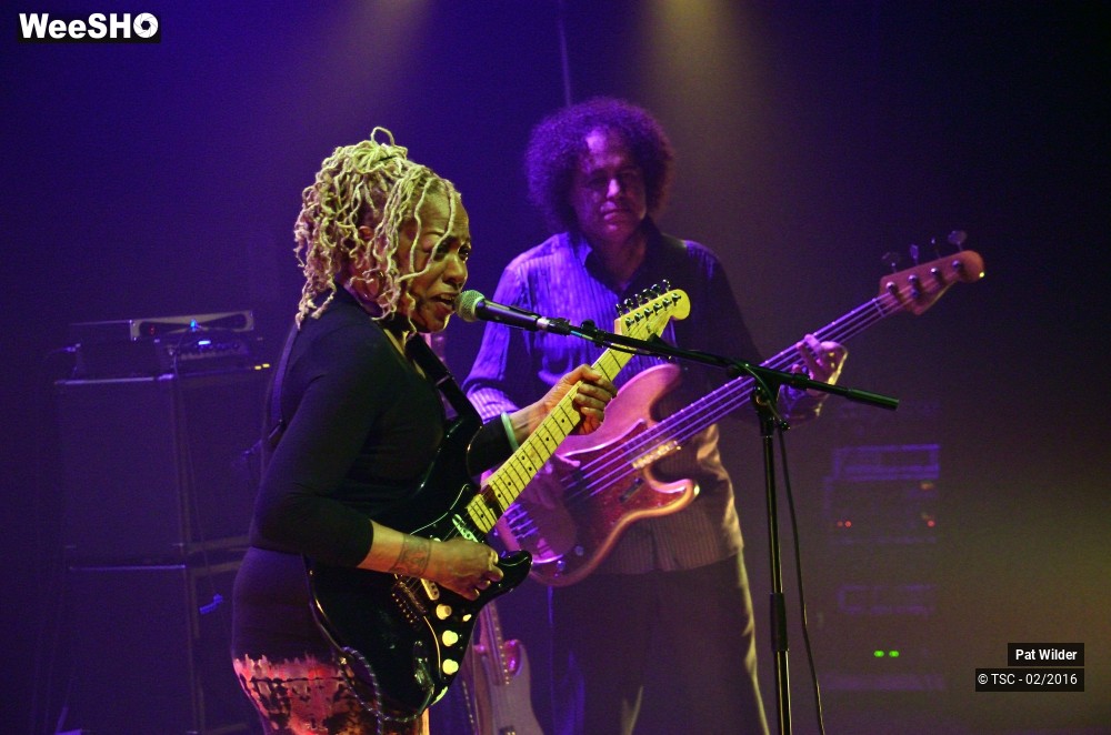 15/29 photos du spectacle Pat  Wilder Band