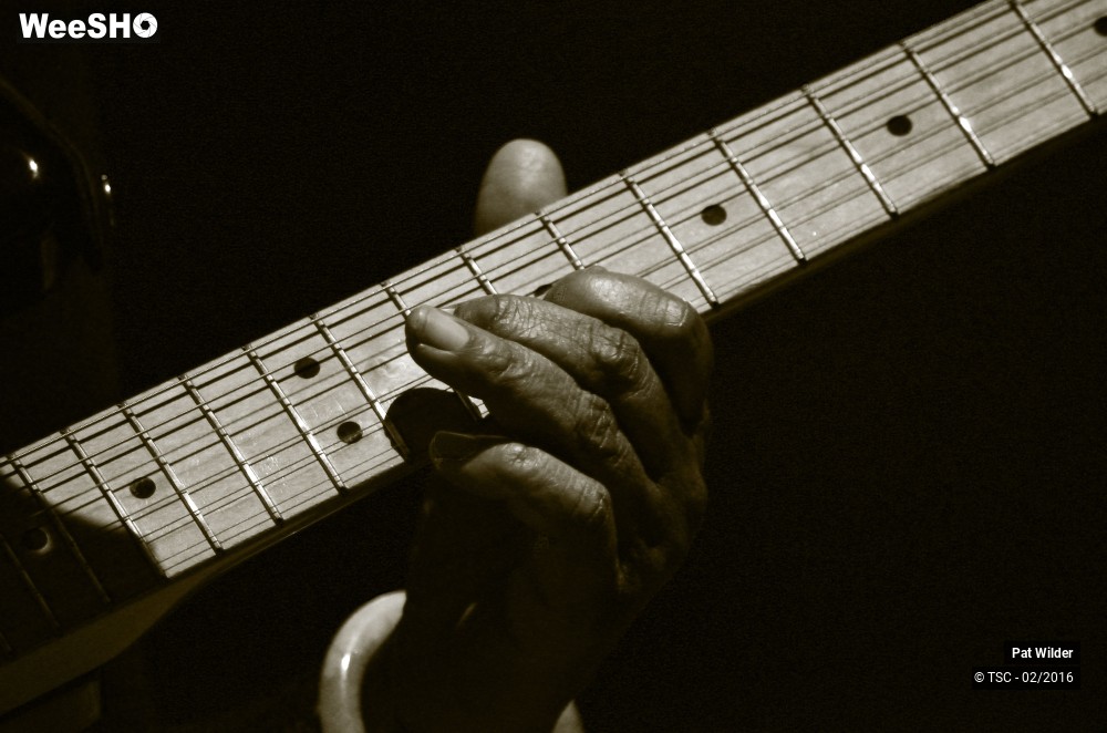 20/29 photos du spectacle Pat  Wilder Band