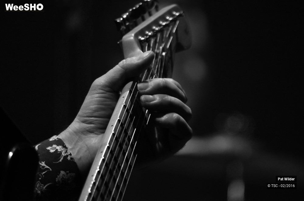 22/29 photos du spectacle Pat  Wilder Band