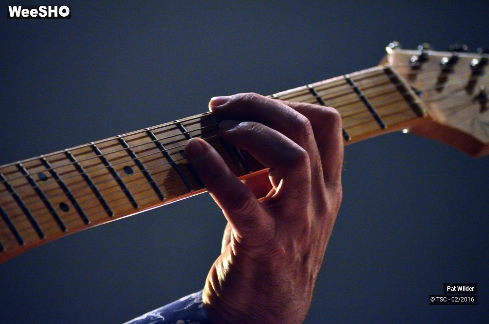 25/29 photos du spectacle Pat  Wilder Band