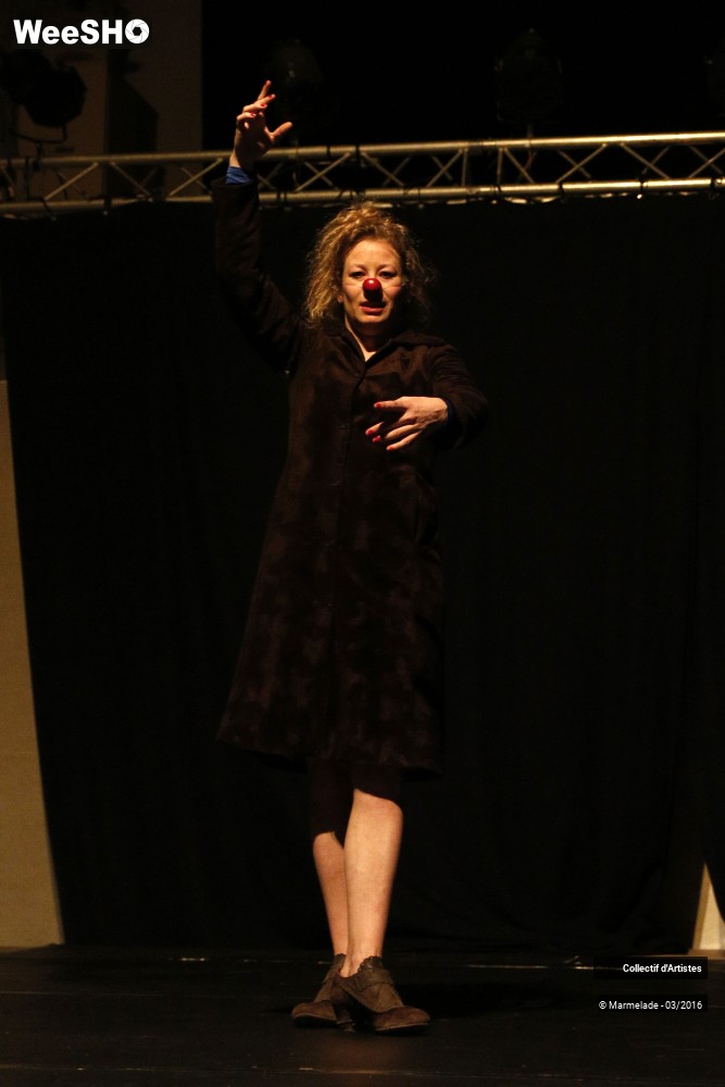 13/42 photos du spectacle Scènes ouvertes 2016 Part2