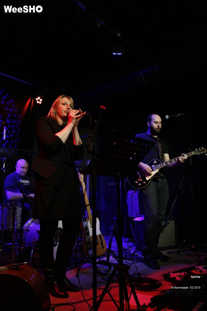 11/40 photos du spectacle Apricity