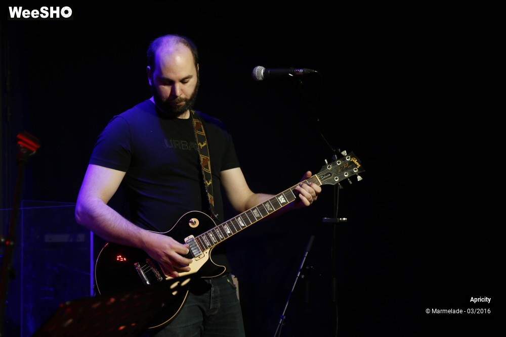 15/40 photos du spectacle Apricity