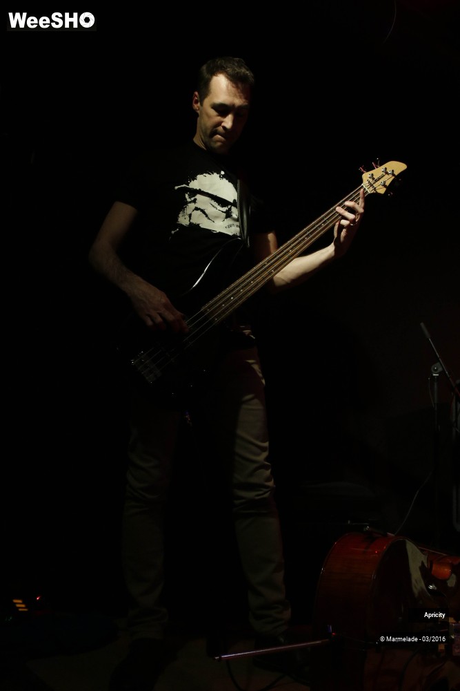 16/40 photos du spectacle Apricity