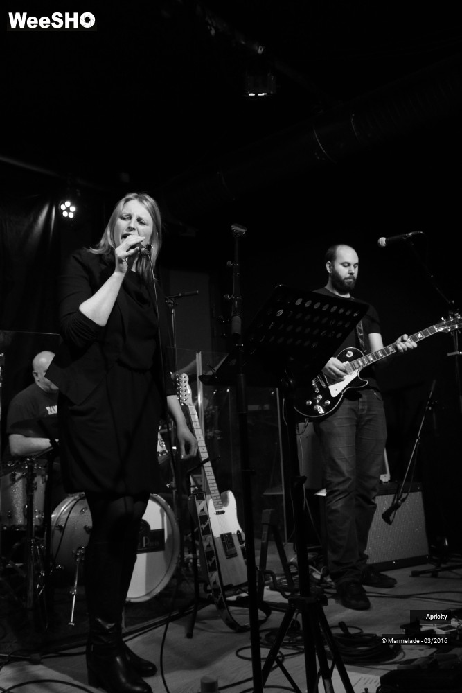 18/40 photos du spectacle Apricity