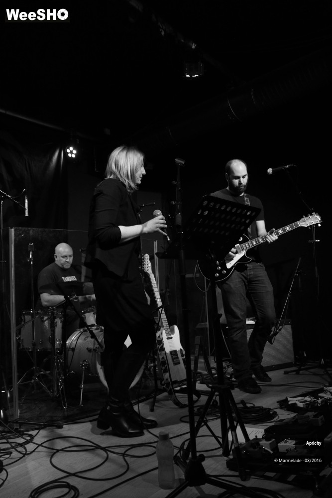 21/40 photos du spectacle Apricity