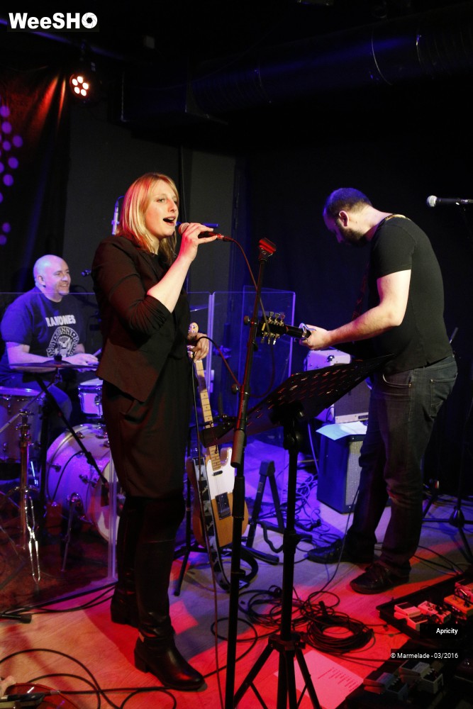 23/40 photos du spectacle Apricity