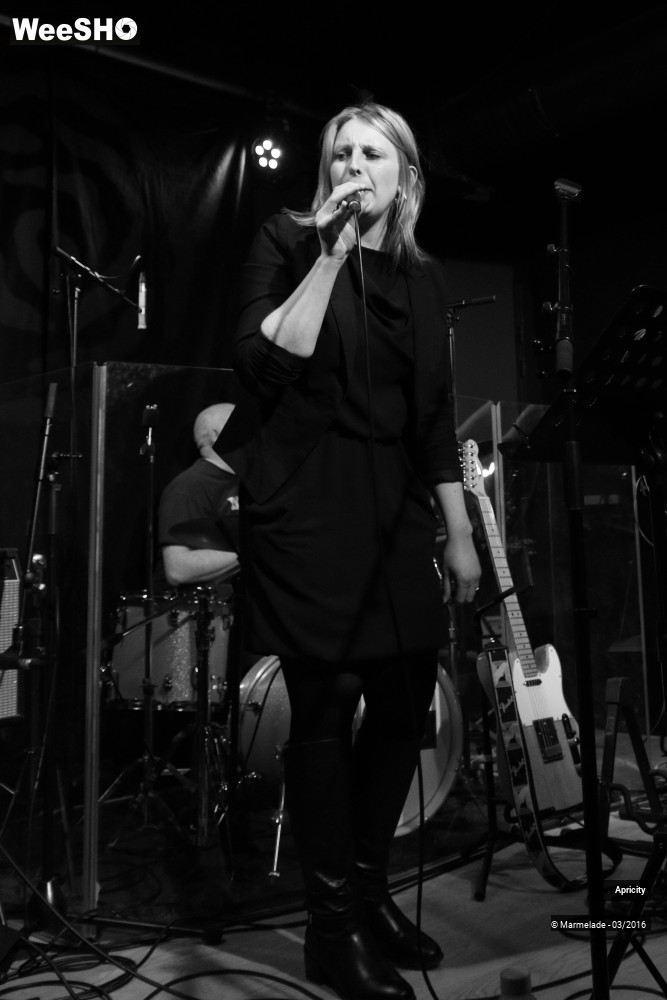 30/40 photos du spectacle Apricity