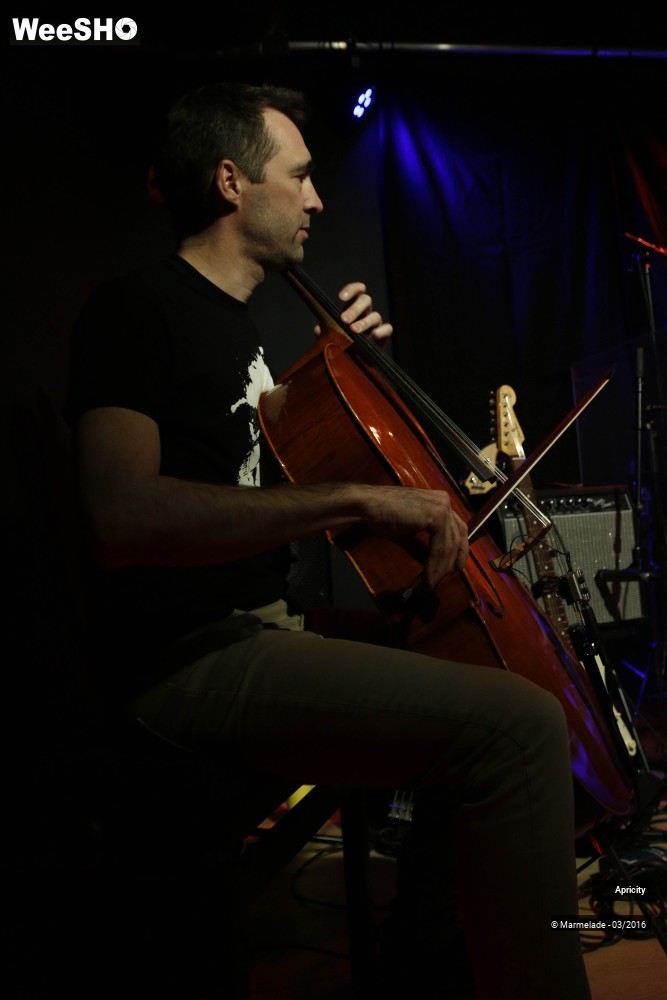 32/40 photos du spectacle Apricity