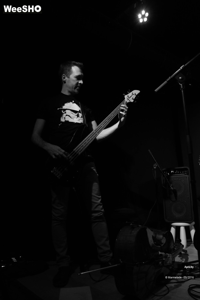 33/40 photos du spectacle Apricity