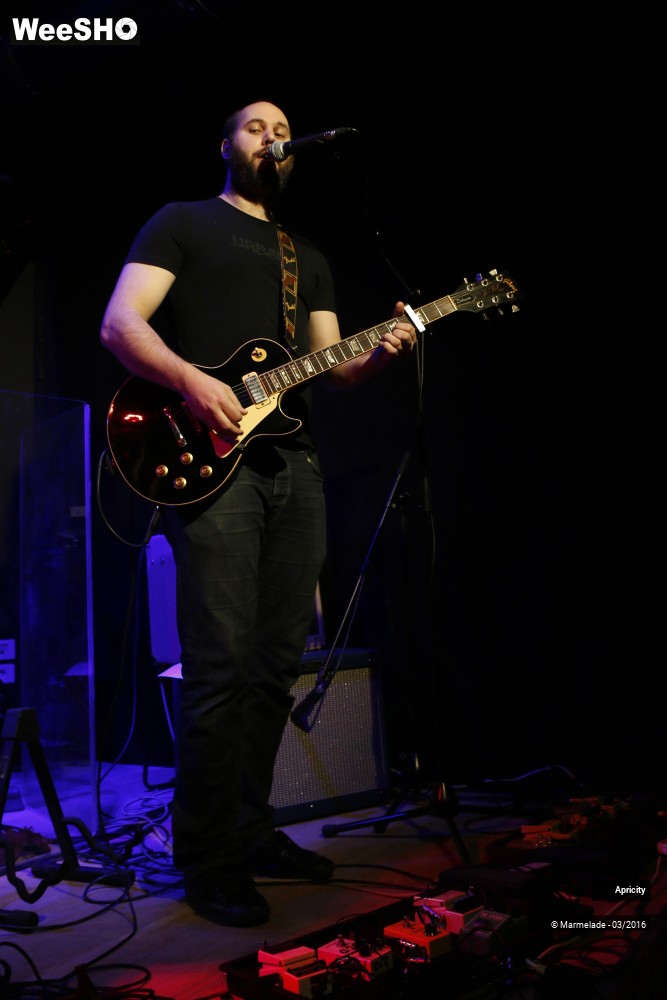 35/40 photos du spectacle Apricity